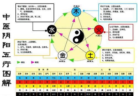 金為何生水|金何以生水？五行學說中的金生水之源 